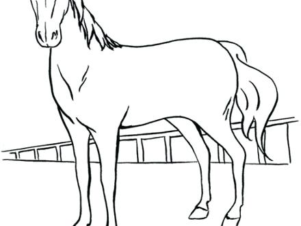 440x330 Simple Horse Coloring Pages Coloring Page Of Horse Easy Horse