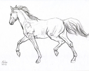 340x270 Simple Running Horse Drawing