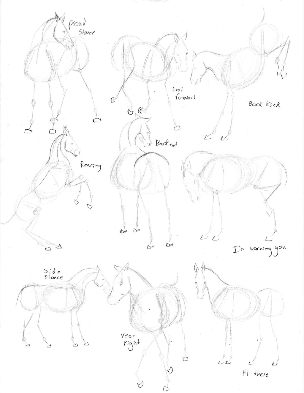 1024x1325 Horse Skeleton Sketches By Hartlover