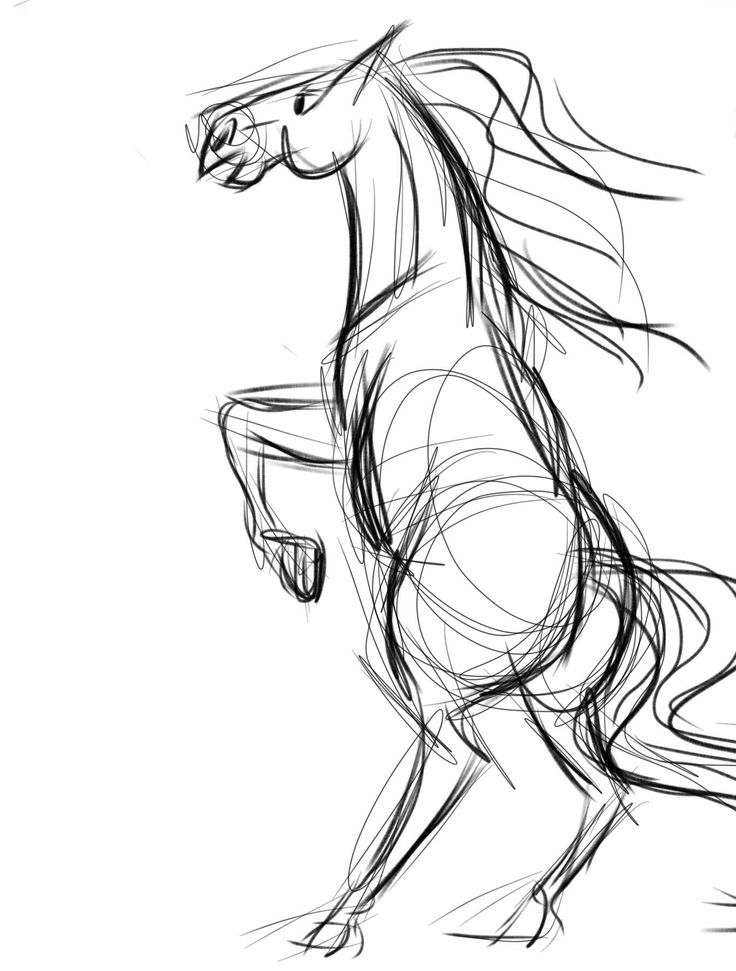 Horse Sketch Drawing at GetDrawings | Free download