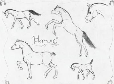 400x295 Horse Drawings