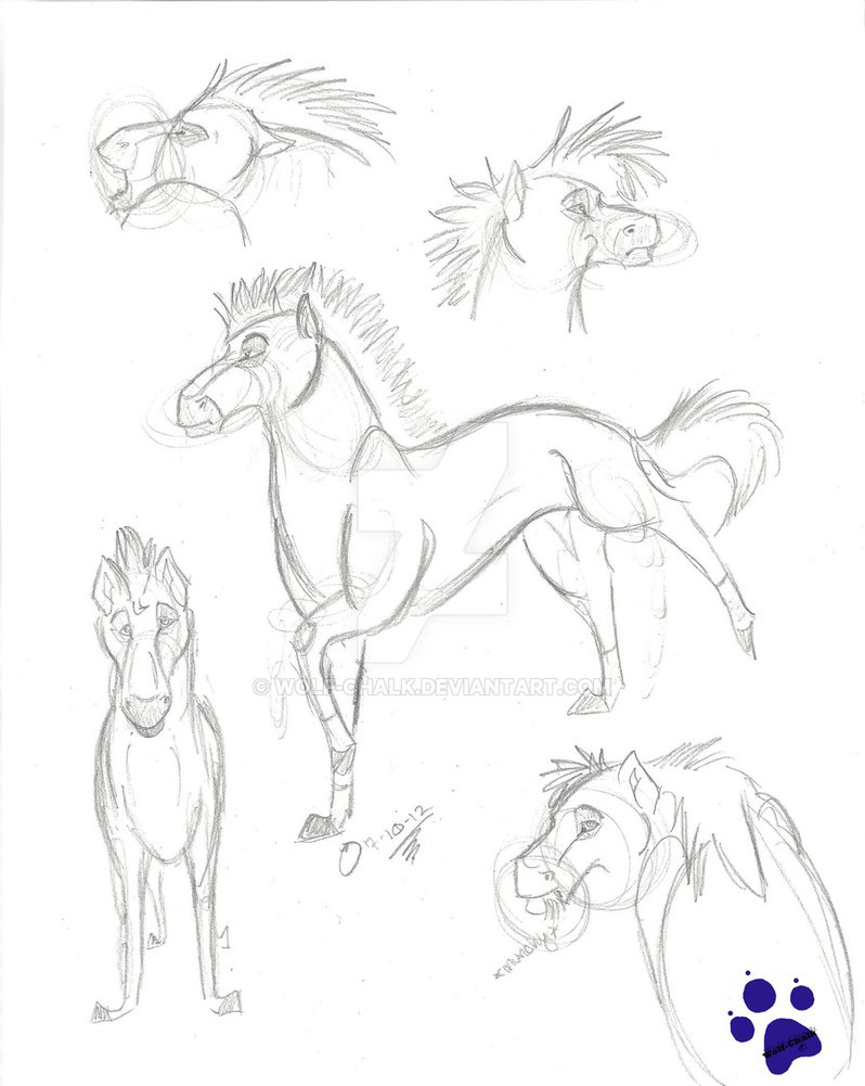798x1001 Horse Sketches By Wolf Chalk