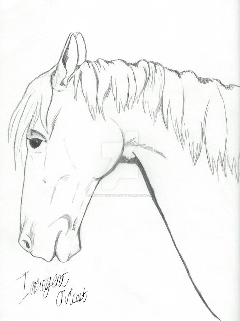 772x1034 Horse Side View Drawing By Insurgentoutcast