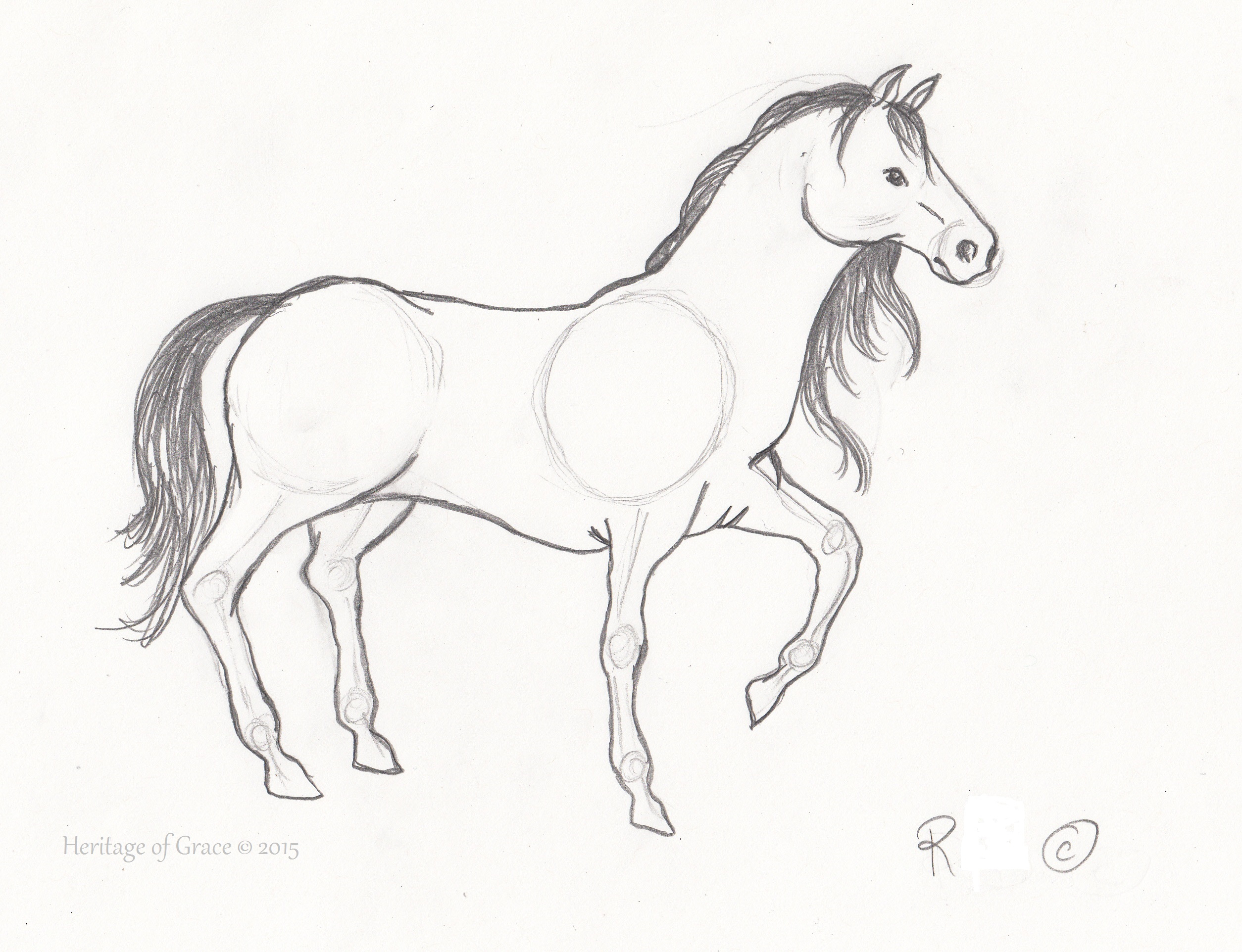2509x1924 Sketches Of Horses