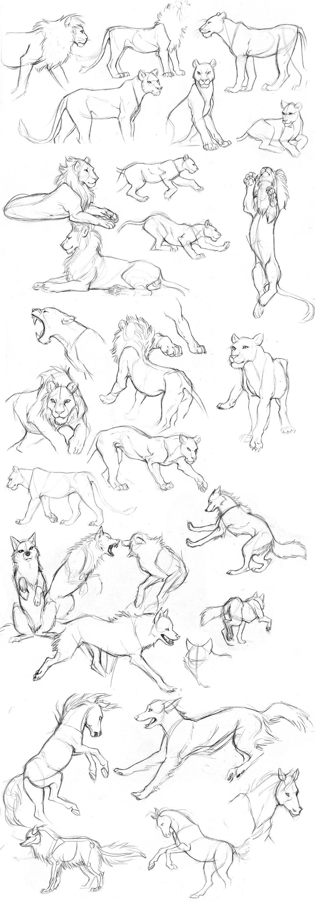 1024x2925 Animal Sketches By Detkef On Art
