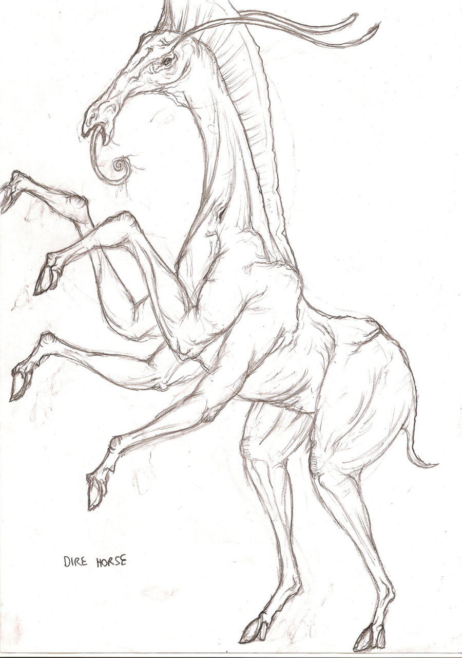 900x1280 The Dire Horse Sketch By Schytelizard94