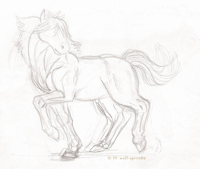 700x592 Wild Horse Sketch By Wolf Spirit89