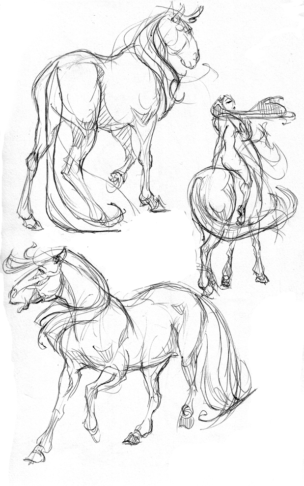 619x988 Horse Sketches By Davidsdoodles