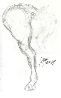 236x381 Horse Skull Sketching Tattoos Skull Sketch