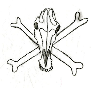 376x363 Horse Skull And Crossbones Leah Allen Costa