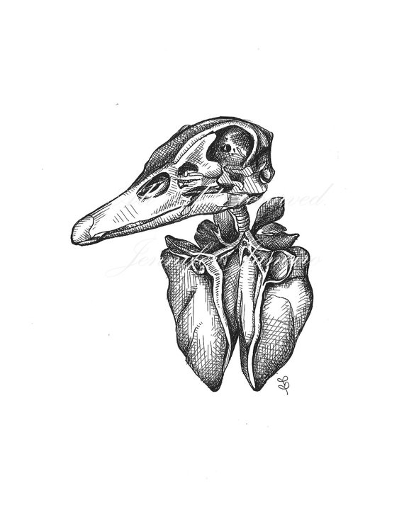 570x713 Debonair Duck Print From Original Pen And Ink Drawing 8x10