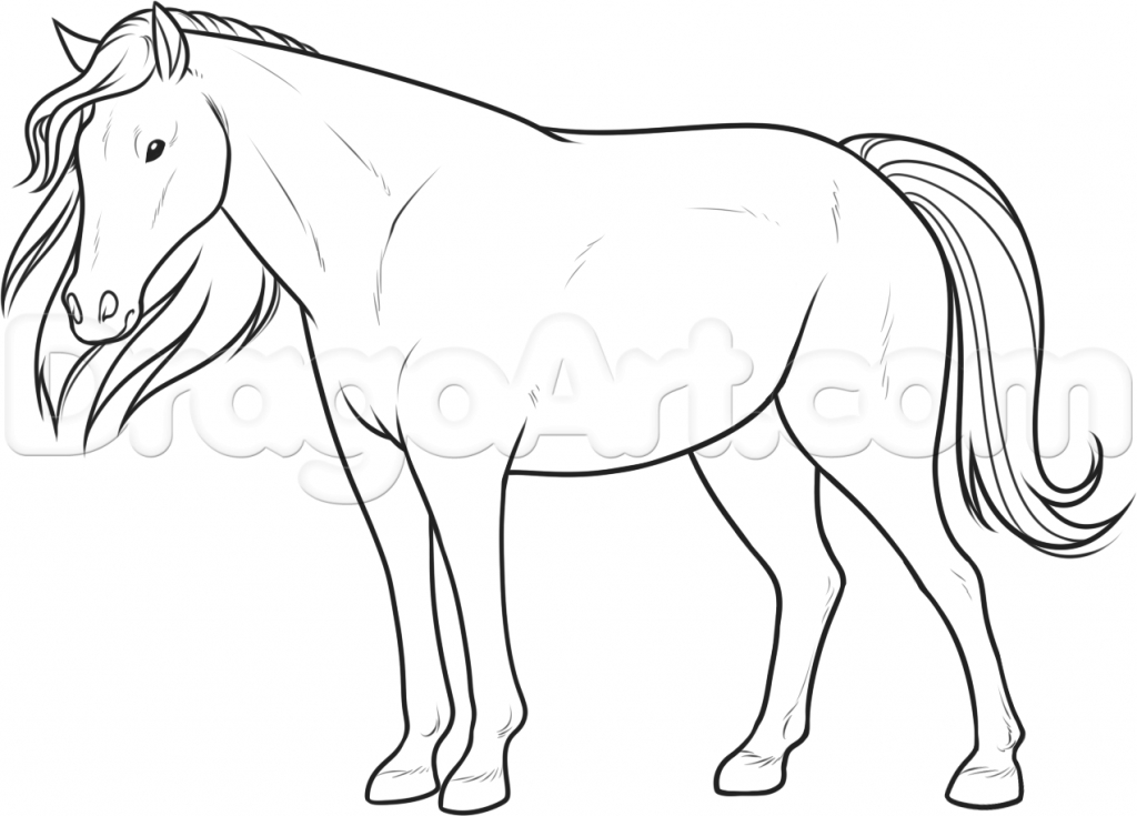 1024x735 How Do You Draw A Horse How To Draw A Running Horse Step Step Farm
