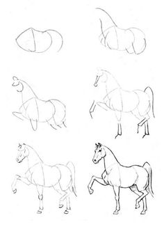 236x326 How To Draw An Arabian Horse Step By Step. Drawing Tutorials