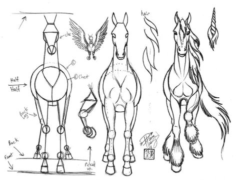 474x365 Draw A Horse How To Draw Horse Horse, Pegasus