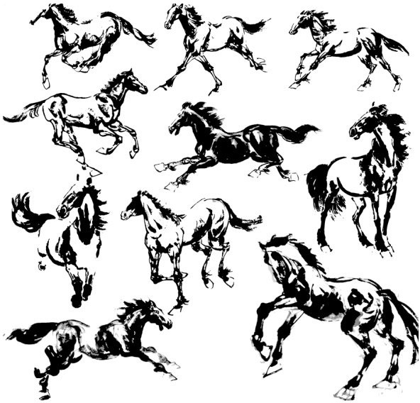 592x568 Hand Drawn Horse Vectors Set Free Vector In Adobe Illustrator Ai