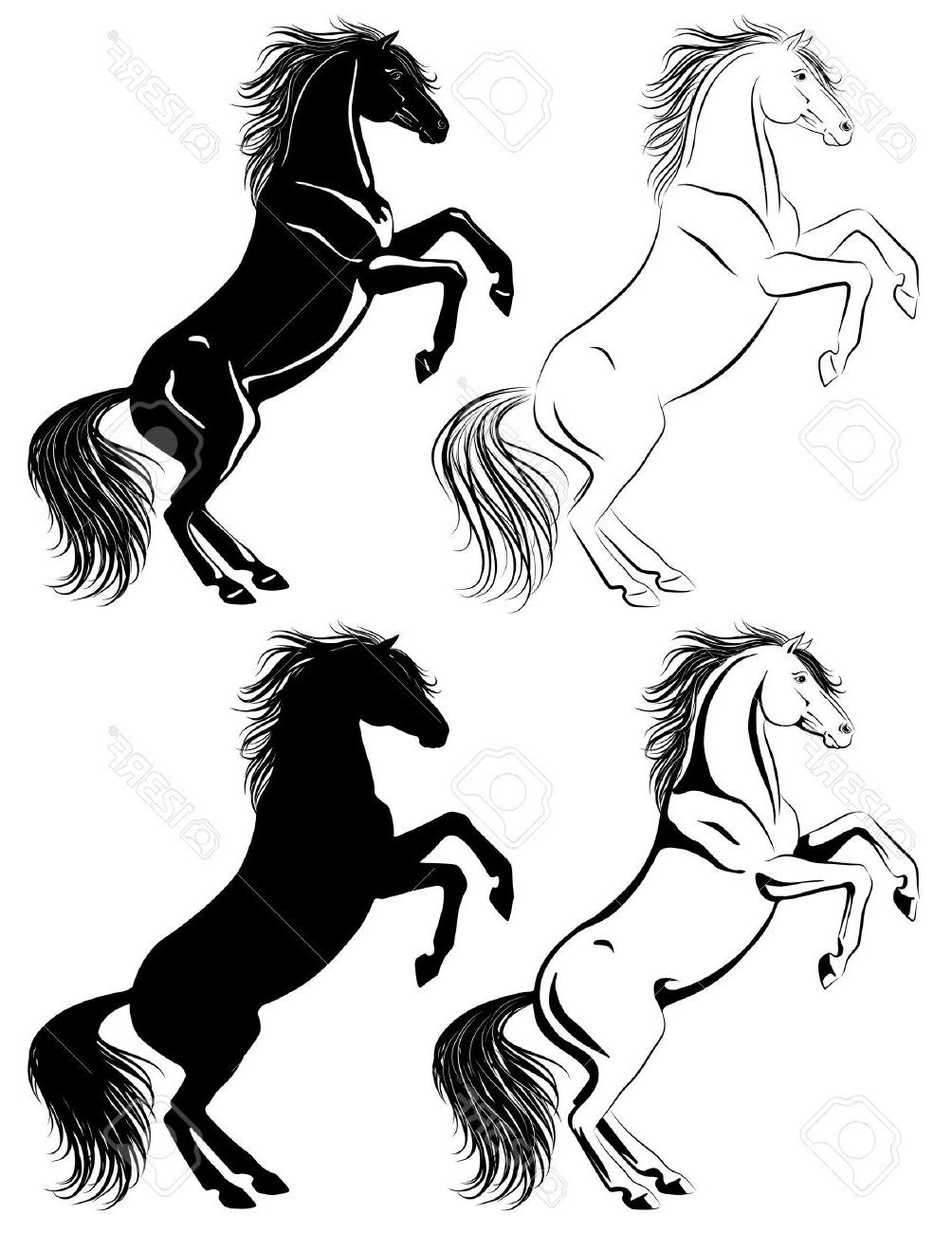 1004x1300 Best Hd Set Of Rearing Horse Illustrations In Different Techniques