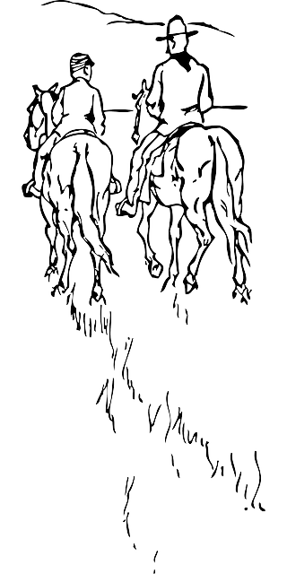 320x640 Free Pictures Horse