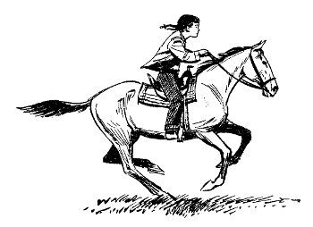 Horseback Riding Drawing at GetDrawings | Free download