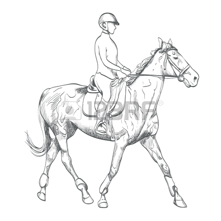 450x450 Riding A Horse Vector Illustration In Line Art Style. Equestrian