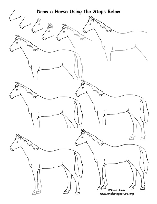 612x792 Horse Drawing Lesson