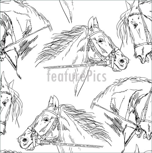 498x500 Black Horse Drawing Illustration