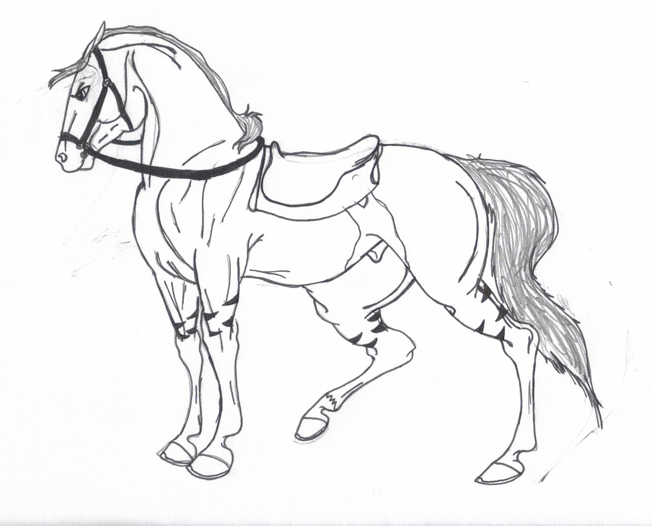 1328x1072 Anime Horse Drawings Horse Drawing