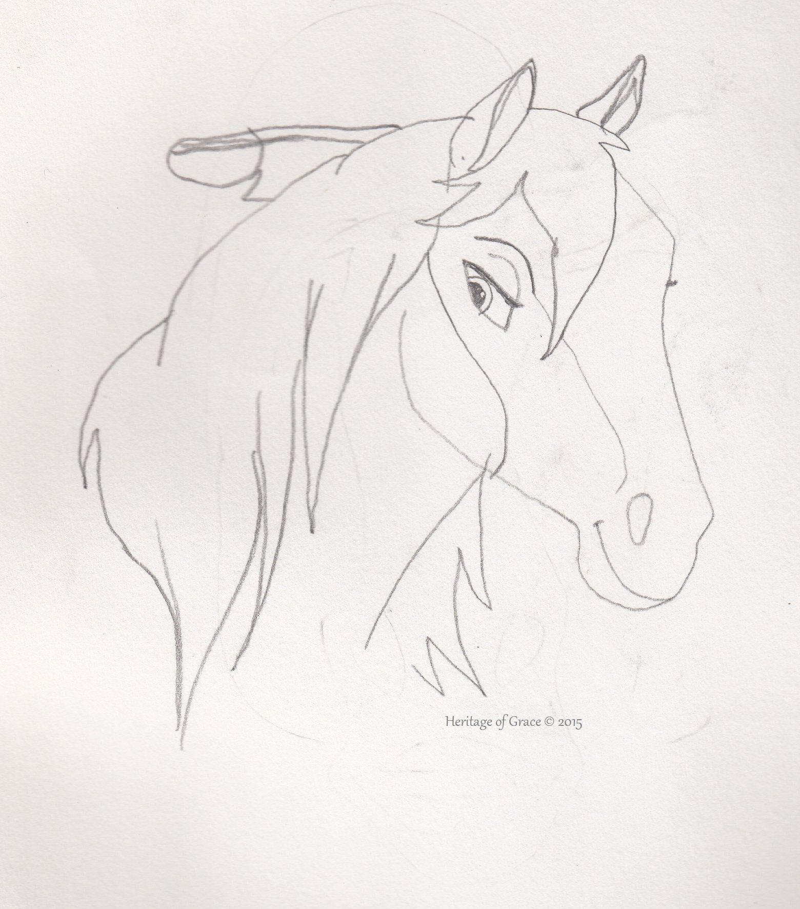 Horses For Drawing at GetDrawings | Free download