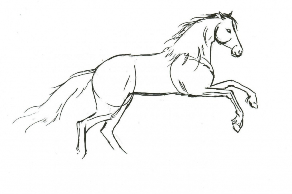 1024x682 Easy Horse Drawing How To Draw A Horse How To Draw Horses Horse