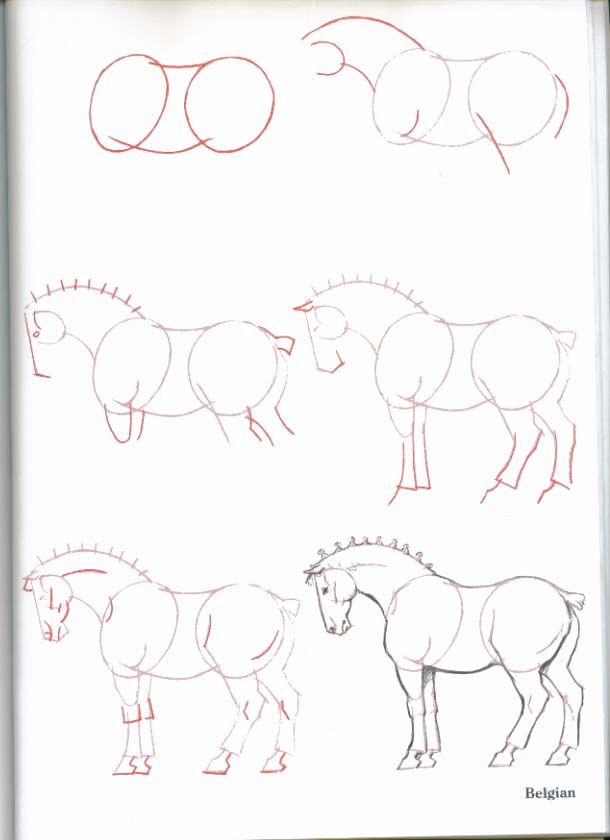 Horses Easy Drawing at GetDrawings | Free download