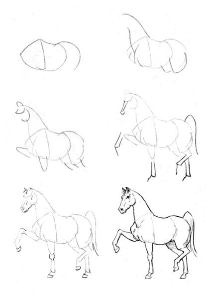424x604 Drawings, Horse Art