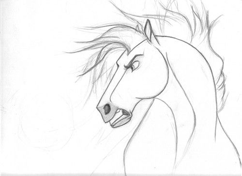 500x364 Drawn Horse Spirit