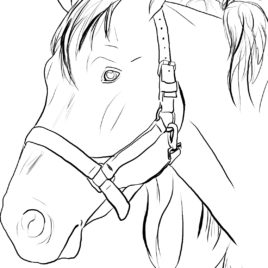 268x268 Horse Face Coloring Page Archives