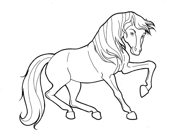 650x472 Horse Template