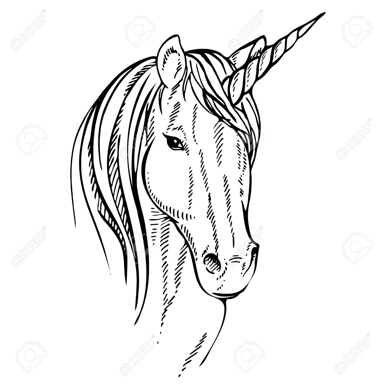 1300x1300 Sketch Unicorn, Hand Drawn Ink Illustration.unicorn Horse Animal