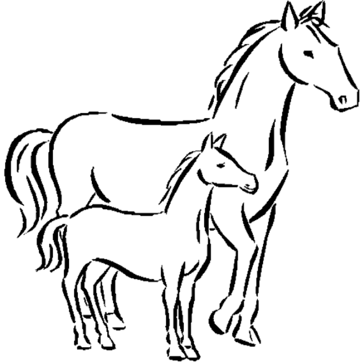 705x709 Horse Pictures To Color And Print