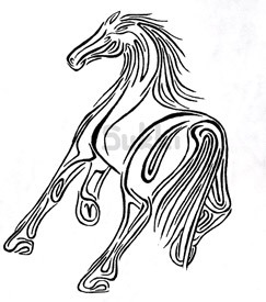 243x275 More Horses For Coloring The Equinest