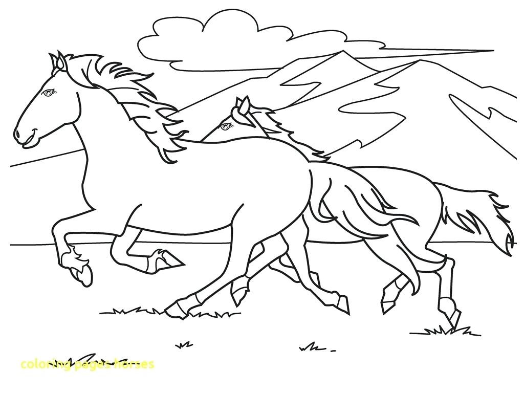 1024x768 Coloring Coloring Page Horse