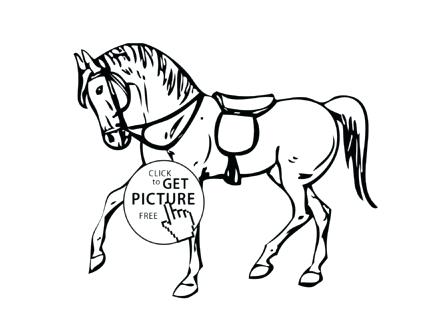 440x330 Animal Coloring Pages For Kids Printable Horse Animals Coloring