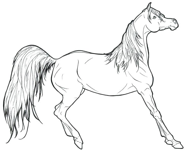 735x600 Coloring Book Horse Plus Horse Coloring Books For Kids 86