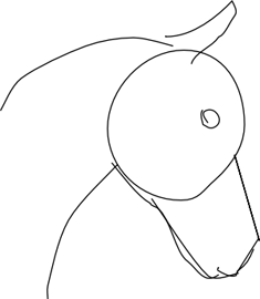 235x270 How To Draw A Horse