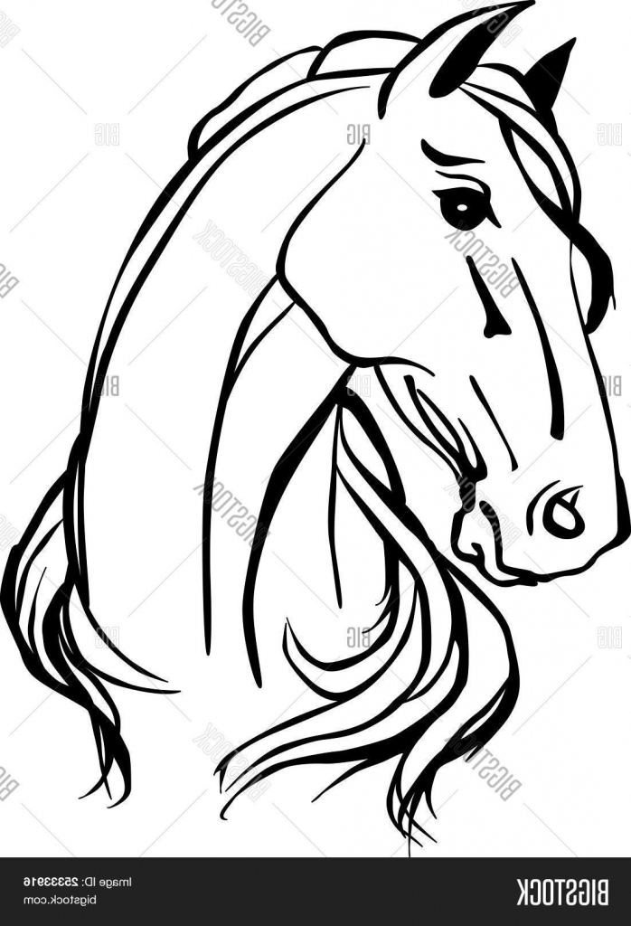 698x1024 Simple Horse Head Drawing Horse Head Vectors Stock Photos Amp