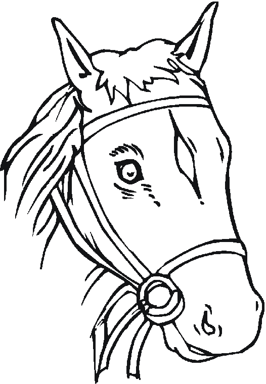 526x760 Horse Head Coloring Page