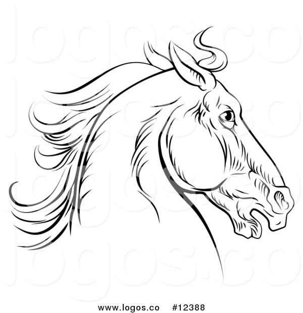 600x620 Royalty Free Vector Logo Of A Black Engraved Horse Head By