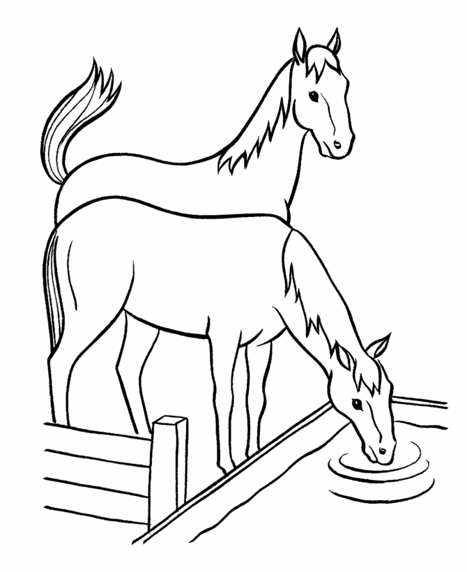 670x820 Coloring Pages Horses Heads Ribbon Print 522778