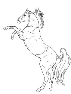 236x314 Drawing Horse Head Front View