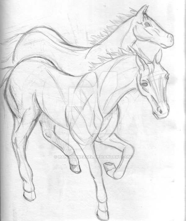 600x715 Two Horses Running By Randomweasel