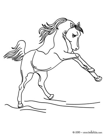 363x470 Wild Horse Coloring Pages
