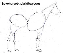 216x182 How To Draw A Horse