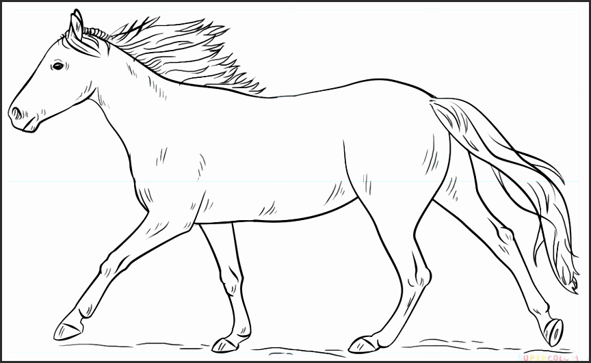 864x531 Steps To Draw A Horse Head Ktegc Beautiful Draw Cartoon Horses