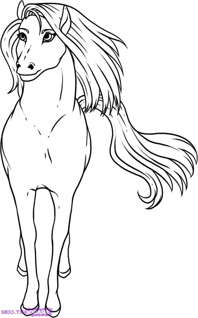639x1024 How To Draw A Horse Step By Step 1. Animal Cartoon Drawings Step